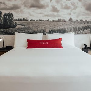 Superior King Suite