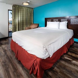 King Room Disability Access