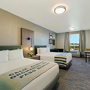 Queen Suite