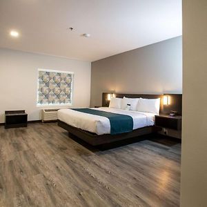 King Room Disability Access