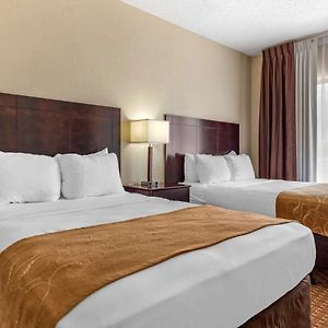 Double Suite Two Double Beds Non-Smoking