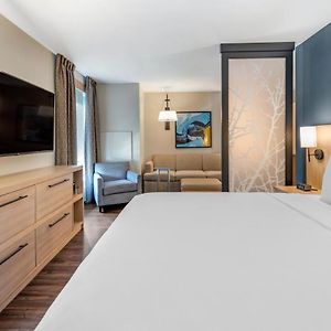 One-Bedroom King Suite