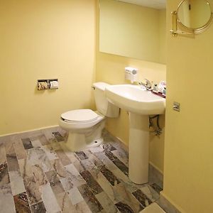 Room Dog friendly