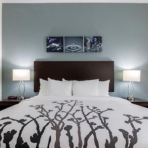 One-Bedroom King Suite
