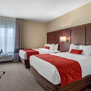 Queen Suite