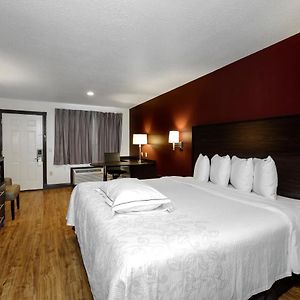Premium King Room