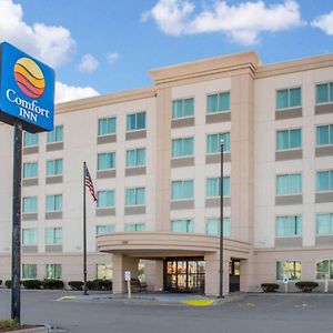 Hammock Hotel Rochester Niagara Falls