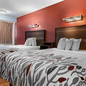Deluxe  Room Disability Access