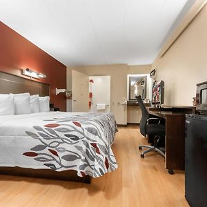 Superior  King Room Disability Access