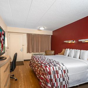 Standard King Room Disability Access
