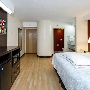 Premium Pool Side King Room