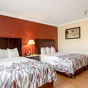 Deluxe  Queen Room Disability Access