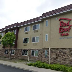 Red Roof Inn Hayward