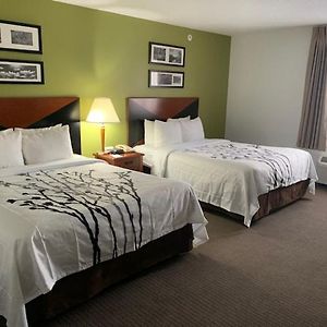 Queen Room Mobility accessible