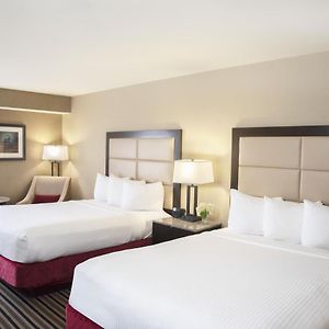 Premier Queen Room