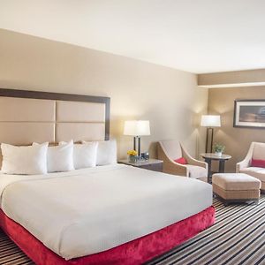 Premier King Room