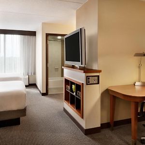 King Room Sofa Bed High Floor