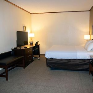 King Room Mobility accessible