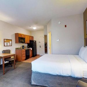 Studio Suite