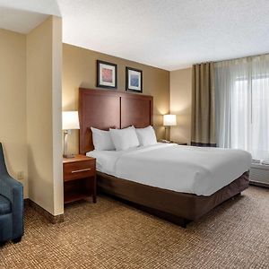 One Room King Suite