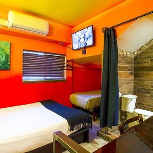 Budget Room