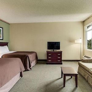 Queen Suite