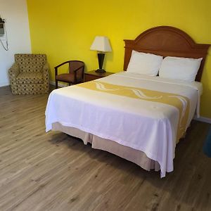 Budget Single Room
