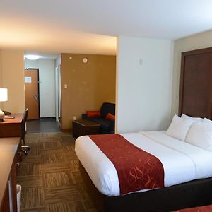 Queen Suite