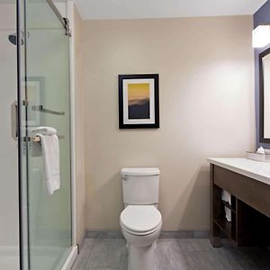 Executive  King Room Mobility accessible