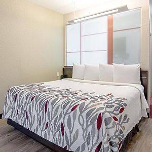 Superior  King Room Disability Access
