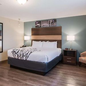 King Suite Mobility accessible