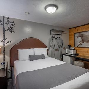 Basic Queen Room