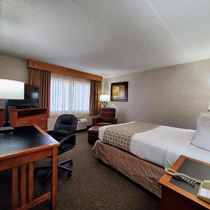 Standard Queen Room