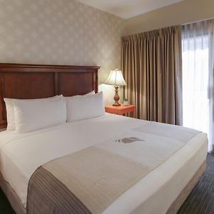 Top Floor King Suite