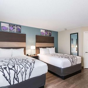Queen Suite