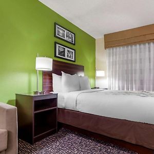 Queen Suite