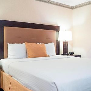 King Room Disability Access