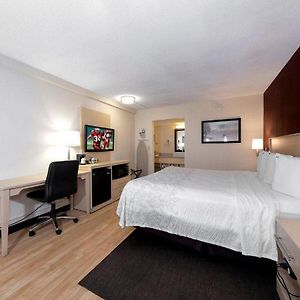 Superior Pool Side King Room
