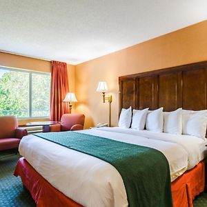 King Room Disability Access