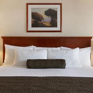 King Room Disability Access