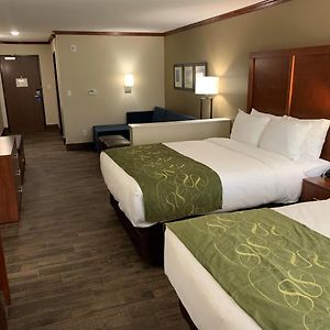 Queen Suite