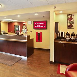 Red Roof Inn Plus+ Washington Dc - Alexandria