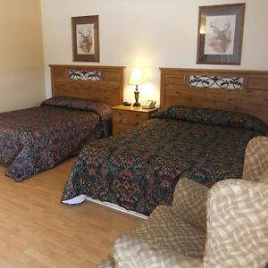 Double Room Two Double Beds