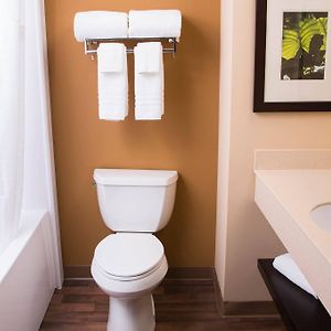 Deluxe  King Studio Disability Access