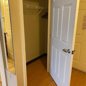 Studio Suite