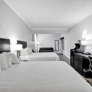 Mini Suite