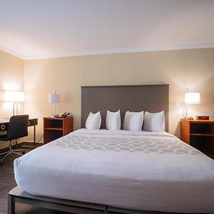 King Room Disability Access