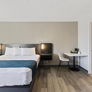 King Room Disability Access