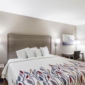 Deluxe  King Room Disability Access