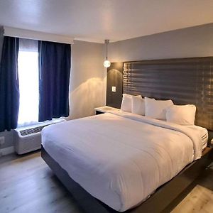 One-Bedroom King Suite
